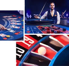 bet969 login